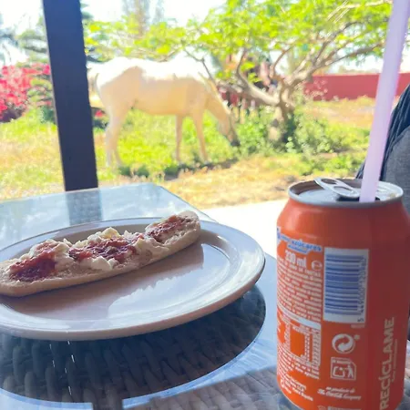 El Relincho Del Alma Semesterbostad Tuineje