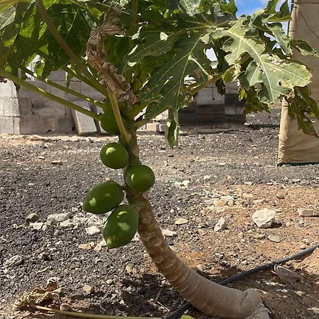Semesterbostad El Relincho Del Alma *