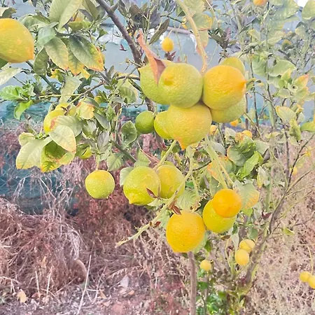 El Relincho Del Alma Semesterbostad Tuineje