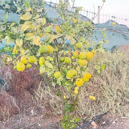 Semesterbostad El Relincho Del Alma